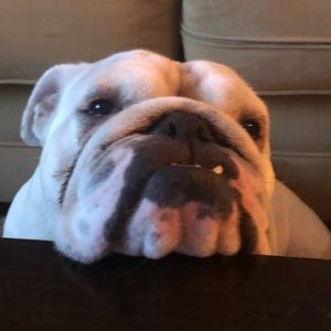 Meet your Posher, Nick